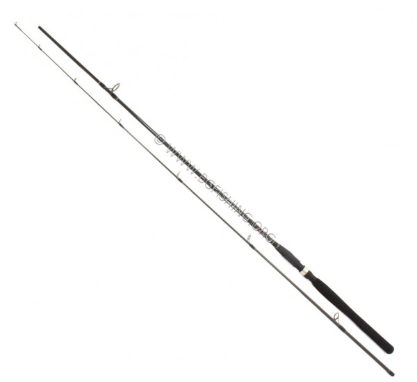 Спининг въдица FL Magic Stick Aqua Sping